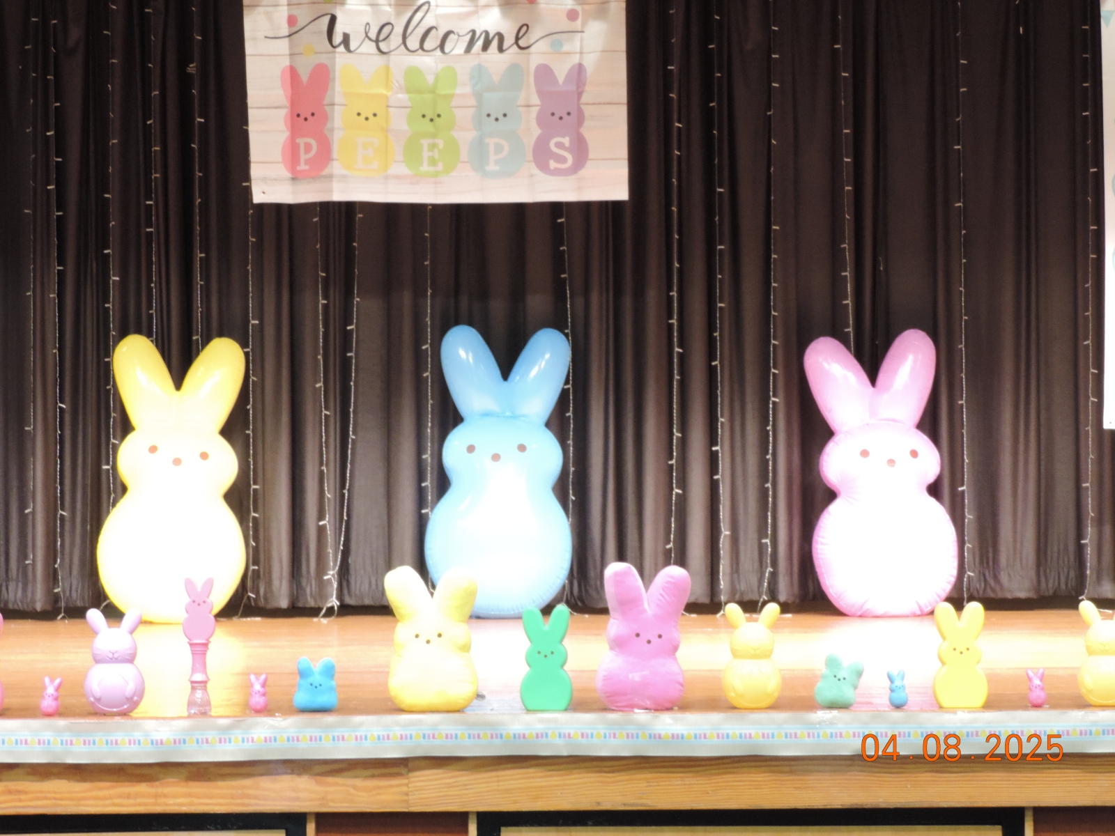 DSCN3558